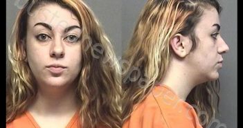 BOOS,ELIZABETH CHRISTINE | 2020-06-14 16:40:00 Saline County, Kansas Booking