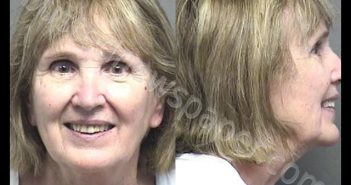 DAHL,SANDRA FAY | 2020-06-14 05:31:00 Saline County, Kansas Booking