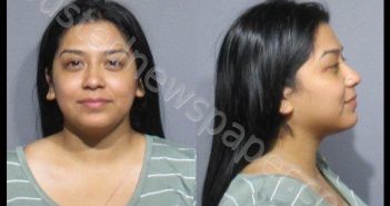 CAZARES, ALEJANDRA L | 2020-06-15 01:22:00 Kendall County, Illinois Booking