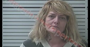 KITTY SUZETTE MCNEW | 2020-06-15 23:05:00 Hancock County, Mississippi Booking