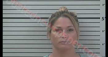 PAMELA LYNN CROCKER | 2020-06-15 13:32:00 Hancock County, Mississippi Booking