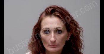 MELISSA ANN HILL | 2020-06-15 04:04:00 Gratiot County, Michigan Booking