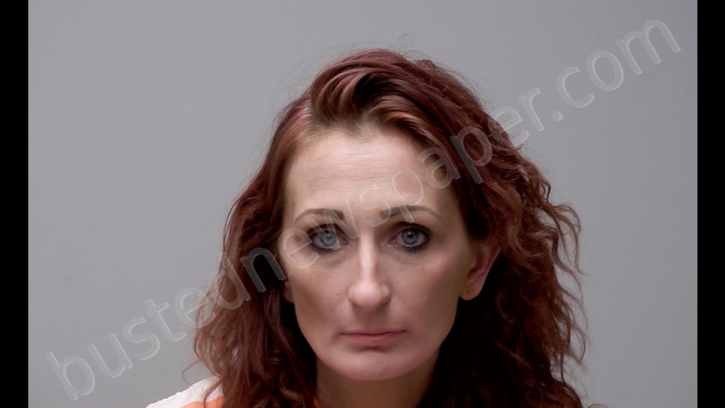 MELISSA ANN HILL #, Gratiot County, Michigan - 2020-06-15 04:04:00