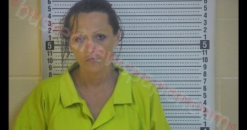 DEANNA FAYE WEBB | 2020-06-15 20:55:00 Taylor County, Kentucky Booking