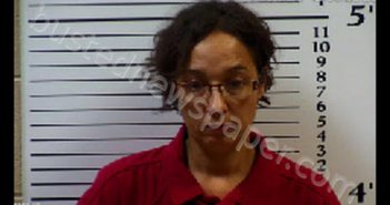 ELKINS, INES SUE | 2020-06-16 21:23:00 Cherokee County, North Carolina Booking