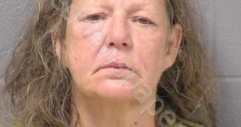 VAN DRISKA, CATHERINE J | 2020-06-16 16:09:00 Will County, Illinois Booking