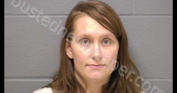 COOK, LIDIA | 2020-06-16 14:31:00 Will County, Illinois Booking