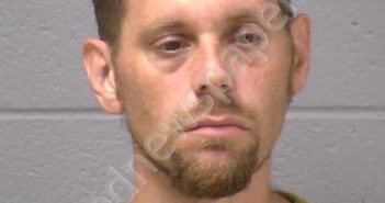 BRADSHAW, RICHARD L SECOND | 2020-06-17 05:49:00 Will County, Illinois Booking