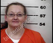 HEATHER WILSON | 2020-06-17 19:02:00 Hawkins County, Tennessee Booking