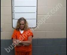 JULIA WILSON | 2020-06-17 02:23:00 Morgan County, Tennessee Booking