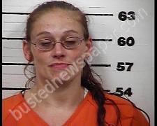 CRYSTAL MULLINS | 2020-06-17 21:47:00 Hawkins County, Tennessee Booking