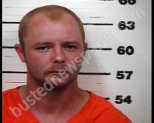 JOSHUA SEALS | 2020-06-18 00:45:00 Hawkins County, Tennessee Booking