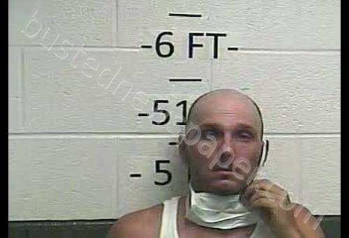 WADE LASHAWN HAMILTON #, Whitley County, Kentucky - 2020-06-18 17:29:00