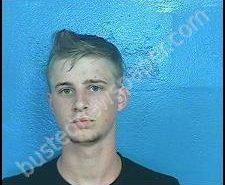 STEVEN KISSICK | 2020-06-20 01:11:00 Sullivan County, Tennessee Booking