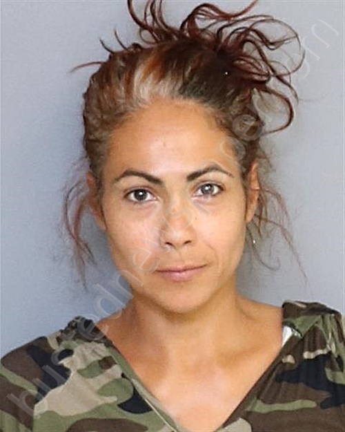ILEANA SANMIGUEL #, Osceola County, Florida - 2020-06-20