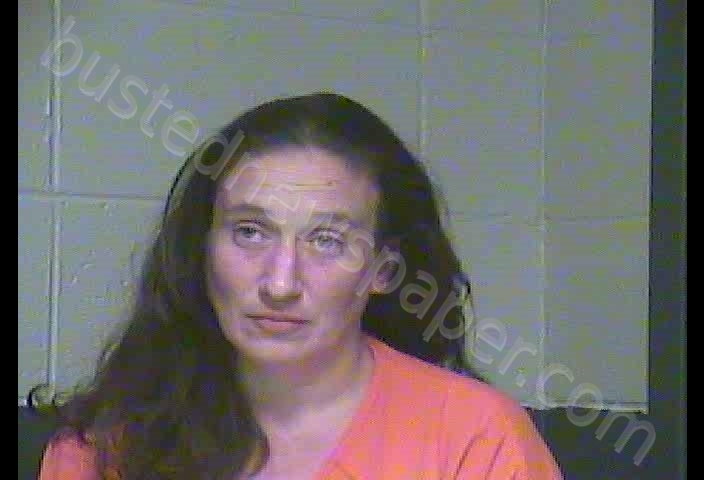 ALICIA C PNEUMAN #, Woodford County, Kentucky - 2020-06-20 01:18:00