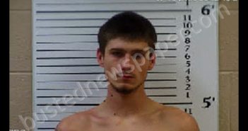 BEAVERS, ALEK VINCENT | 2020-06-20 05:47:00 Cherokee County, North Carolina Booking