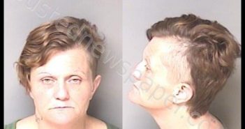 <B>HAYES</B>, <B>BRANDY</B> ELAINE #, Gaston County, North Carolina - 2020-06-20 01:00:00