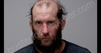 ADAM ARRINGTON RIMMEL | 2020-06-22 11:40:00 Gratiot County, Michigan Booking
