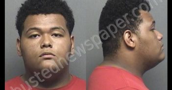 JOHNSON,TYRELL CHRISTOPHER | 2020-06-22 15:30:00 Saline County, Kansas Booking
