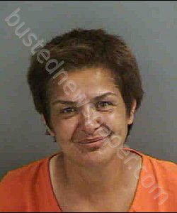 PAVIC,BILJANA | 2020-06-22 Collier County, Florida Booking