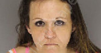 WALKER, AMANDA LYNN | 2020-06-24 09:19:00 Moore County, North Carolina Booking