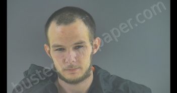 LEAKE ARON JOHNSON | 2020-06-24 03:45:00 Bedford County, Virginia Booking