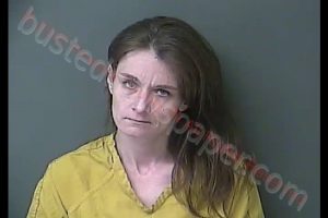 RACHEAL NICOLE DOOLEY | 2020-06-24 00:01:22 Howard County, Indiana Booking