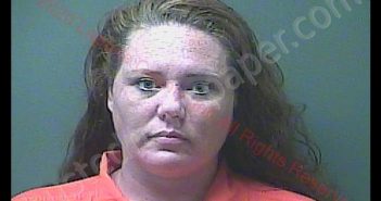 ALEXIS ANN ELLIS | 2020-06-25 19:42:00 Laporte County, Indiana, La Porte County, Indiana Booking