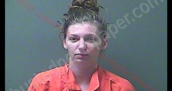 BRITTNEY E RAPOPORT | 2020-06-25 08:51:00 Laporte County, Indiana, La Porte County, Indiana Booking
