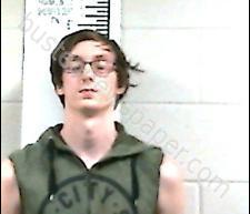 JORDAN HOLLEMAN #, Franklin, Tennessee, Franklin County, Tennessee - 2020-06-26 22:33:00