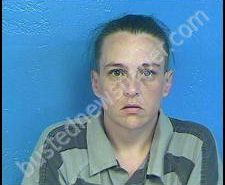 AMBER NASH | 2020-06-26 20:09:00 Sullivan County, Tennessee Booking