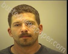 <B>ZACHARY</B> <B>STEPHENS</B> #, Wilson County, Tennessee - 2020-06-26 21:52:00