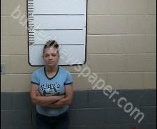 DANYELLE MOSELEY | 2020-06-26 12:05:00 Morgan County, Tennessee Booking