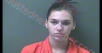 KALLI NICOLE CRUM | 2020-06-27 05:11:00 Laporte County, Indiana, La Porte County, Indiana Booking