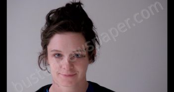EMILY ANN DENNISTON | 2020-06-28 04:36:00 Gratiot County, Michigan Booking