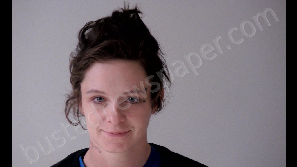 EMILY ANN DENNISTON #, Gratiot County, Michigan - 2020-06-28 04:36:00