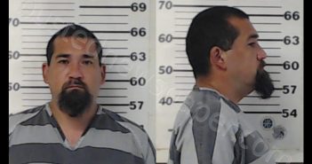 <B>GARZA</B>, RICHARD <B>NOE</B> #, Henderson County, Texas - 2020-06-28