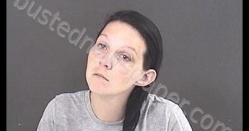 SHOCKLEY, KIMBERLY RENEE | 2020-06-28 14:02:00 Roanoke County, Virginia Booking