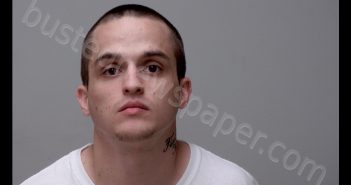 COREY RAY PYMAN | 2020-06-29 11:24:00 Gratiot County, Michigan Booking