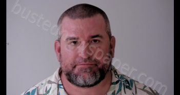 CHRISTOPHER SHAUN ANDREWS | 2020-06-29 01:56:00 Gratiot County, Michigan Booking