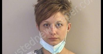 RICE, CHRISTINE ELIZABETH | 2020-06-29 12:34:00 Dickinson County, Kansas Booking