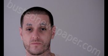 JUSTIN JEFFERY GOODRICH | 2020-06-30 11:36:00 Gratiot County, Michigan Booking