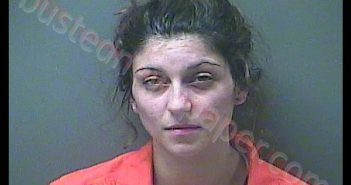 ERAILIA PENA | 2020-06-30 16:21:00 Laporte County, Indiana, La Porte County, Indiana Booking