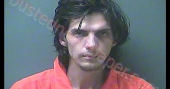 WILLIAM T SILVAS | 2020-06-30 16:24:00 Laporte County, Indiana, La Porte County, Indiana Booking