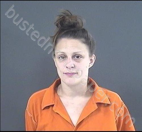 AUSTIN, DIANA MARIE #, Roanoke County, Virginia - 2020-06-30 12:06:00