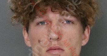 DAKOTA JOSEPH OWENS | 2020-07-01 22:43:00 Anderson County, South Carolina Booking