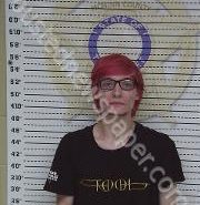 JOSHUA LANKFORD | 2020-07-02 05:03:00 Mcminn County, Tennessee Booking