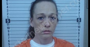 BRANDI M HALE | 2020-07-02 16:59:00 Scott County, Missouri Booking