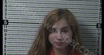 CHEYENNE S LEWIS | 2020-07-02 16:55:00 Boyle County, Kentucky Booking